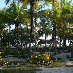 Playa Bonita Ecohotel Pet-Friendly